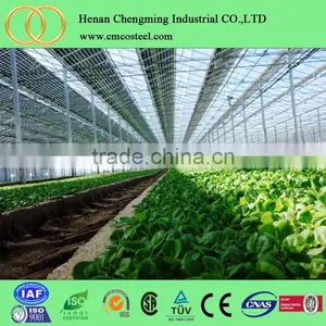 Commercial Tunnel Plastic Light Deprivation Greenhouse Used for Sale thumbnail-6