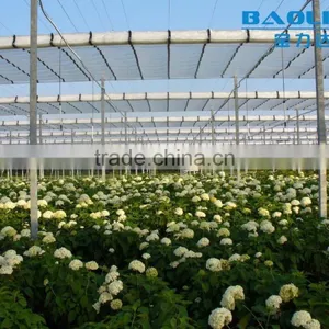 BaoLiDa Multi-span Poly Carbonate PC Agriculture Commercial Greenhouse thumbnail-4