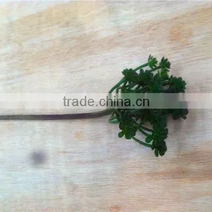 Home and Outdoor Garden Edging Christmas Decoration 60cm or 24inches Height Artificial Small Grass for Green Wall E04 1043 thumbnail-5