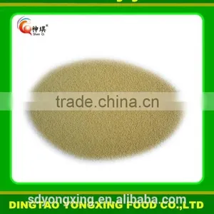 Instant Active Dry Yeast for Food Industry thumbnail-3