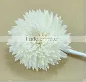 Natural Sola Flower Diffuser / Diffuser / Home Decoration thumbnail-1