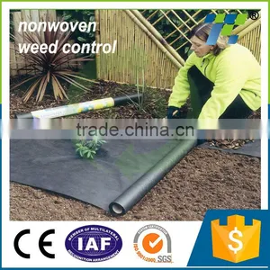 Anti Weed Mat Weed Control Ground Cover, Ground Cover Supplier, HDPE Woven Camping Mat thumbnail-2