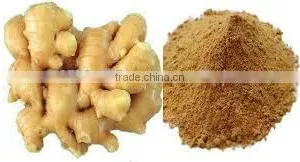 Zingiber Officinale Extract thumbnail-3
