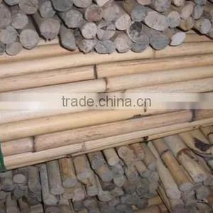 White Rattan Malacca Cane thumbnail-1