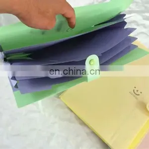 Letter Size 12 Pocket PP Expandable File Folders thumbnail-2