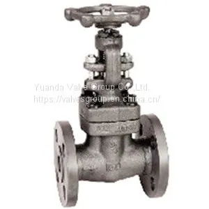 Forged Steel Globe Valve thumbnail-1