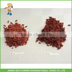 Dried Goji Berry 380Grains/50G thumbnail-1