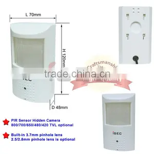 1/3" Sony Effio-E 960H CCD PIR Hidden Camera thumbnail-1