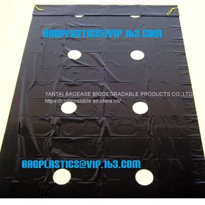 Agricultural Film, pe Film, Horticultural Mulch Film, Garden Perforated Ground Film,Mulching Films, Garden Film, pe Film thumbnail-3