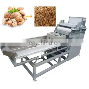 Factory Price Almond Cashew Walnut Chopper Machine thumbnail-5