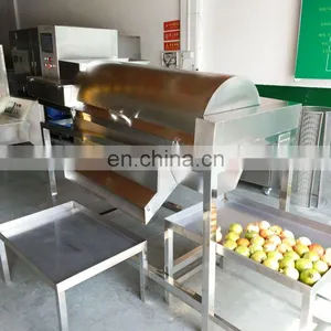 Machine Manufacturers Seeds Extractor Machine Pomegranate Peeler thumbnail-2