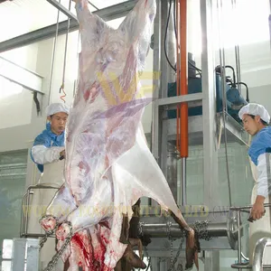 One Stop Goat Slaughterhouse Solution Complete Slaughter Line Machinery by WFA Engineering thumbnail-4
