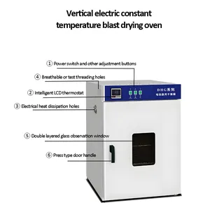 Capacity 16L-1000L Customizable Cabinet Size Blower Drying Equipment Industrial or Laboratory Specific Oven thumbnail-1