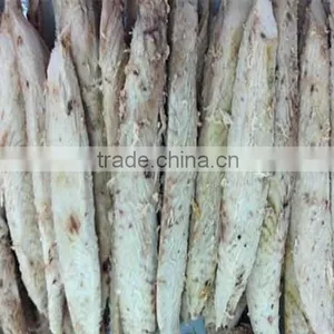 Bonito Loin Tuna Loin (auxis Thazard) Frozen Fish Meat thumbnail-1