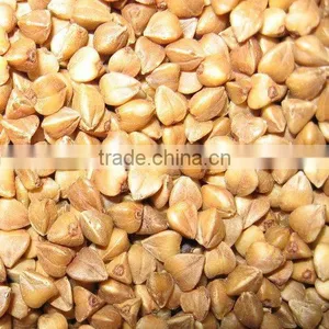 Roasted Buckwheat Kernel New Crop thumbnail-1