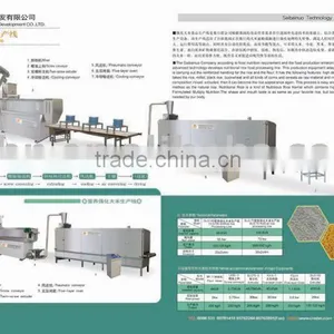 Artificial Rice Production Line thumbnail-1