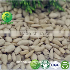 New Premium Sunflower Kernels Chocolate thumbnail-2