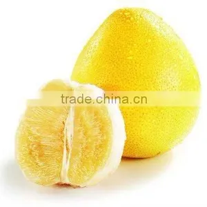 New Sweet Pomelo/Shaddock thumbnail-1
