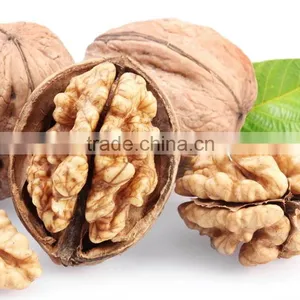 Cheap100% Organic Walnuts in Shell Price thumbnail-1