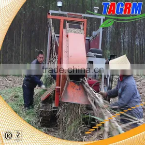 Cost-effective and Mini Type Sugarcane Leaf Machine/sugarcane Peeling Machine for Sale thumbnail-1