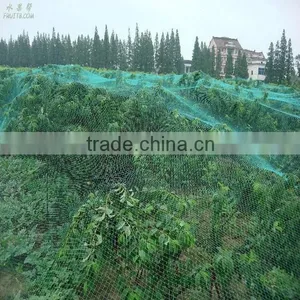 White Crystal Colour Raschel Knitted Polyethylene Agriculture Hail Protection Net,hail Net,anti-hail Net thumbnail-5