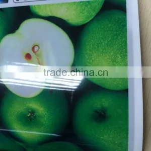 Pet Film Price Cost-effective no Slipping Wide Pure Pet Film Rolls Pet Film thumbnail-4