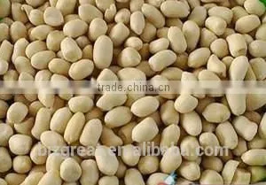 Supply Chinese Blanched Peanut Kernels Round for Sales thumbnail-3