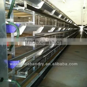 Pullets Raising Cage for Poultry Farming Equipment Chicken House thumbnail-1