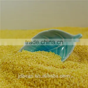 2016 Crop Glutinous Yellow Millet Sticky Millet for Rice Cake thumbnail-3