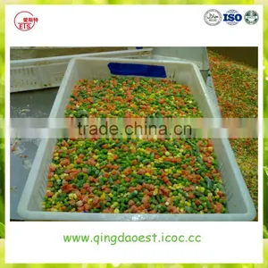 Chinese High Quality Frozen Mixed Vegetable thumbnail-2