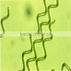 2015 Healthy Algae Spirulina for EU & USA Market thumbnail-2