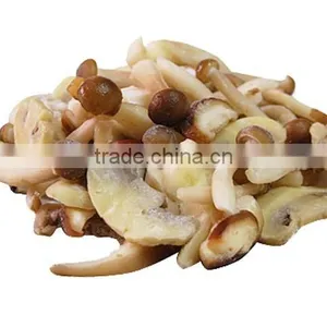 Frozen Mix Fungus thumbnail-1