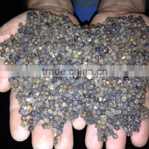 HIGH QUALITY OF BLACK PEPPER thumbnail-1