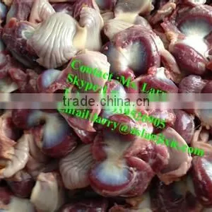 Gizzards Peeler/gizzards Skin Remover thumbnail-6