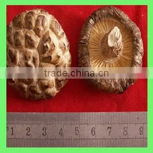 Grade A Dry Shiitake Mushrooms thumbnail-1
