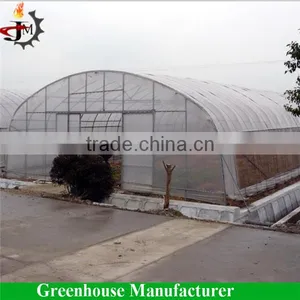 Hot Sale Discount Greenhouse Poly Film thumbnail-2