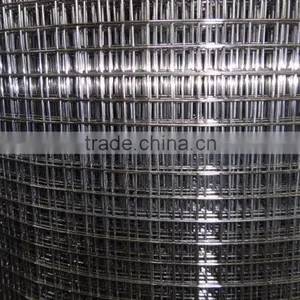 Electro-galvanized 1/2 Inch Mesh Welded Wire Mesh for Construction thumbnail-6