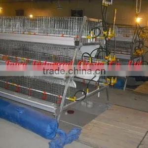 TAIYU Chicken Cage for Broilers and Baby Chicks thumbnail-1