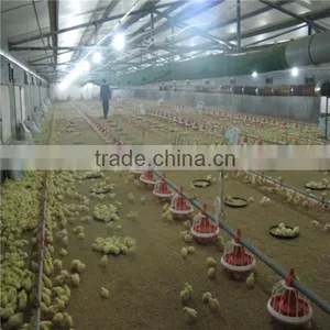 Manufacturer Broiler Poultry Farm Equipment thumbnail-2