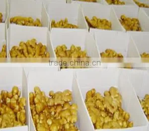 Hot Sale Competitive Price New Harvested Young Ginger thumbnail-4