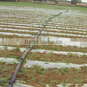 The Trunk Pipeline Water Transport Pipe thumbnail-2
