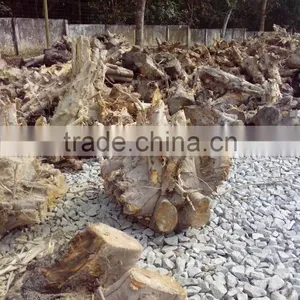 Large Tree Wood Chipper thumbnail-6