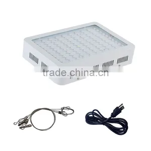 High Power 100X3W LED Grow Lights for Hydroponic Plants thumbnail-5