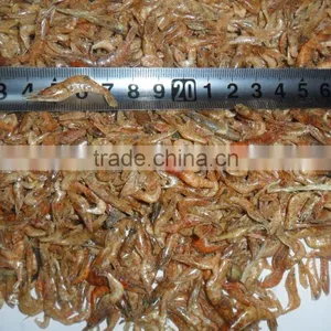 Dry Pet Food , Small AD Shrimp Aquarium Fish Food thumbnail-1