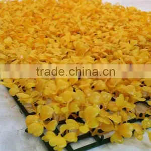 New Style Wholesale Customized Artificial Milan Grass Mats for Decoration thumbnail-5