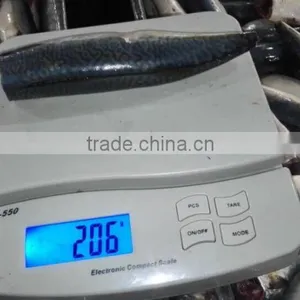 HGT Pacific Mackerel Scomber Japonicus Headless Gutted Tailess thumbnail-5