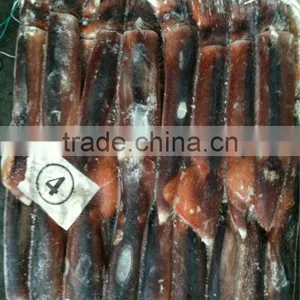 Food Wholesale of Illex Squid thumbnail-1
