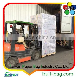 TPBI Cultivator Grow Protective Paper Bag Banana Growing Paper Bag thumbnail-3