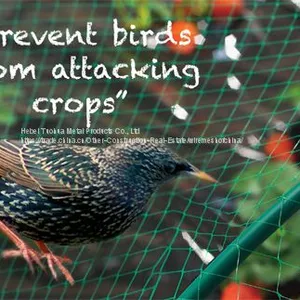 Anti Bird Net thumbnail-1