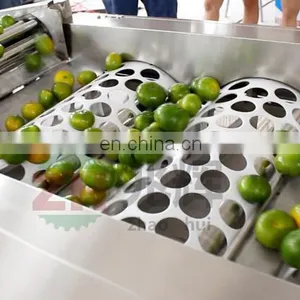 High Effective Blueberry Fruit Selecting Machine Blueberry Fruit Grading Machine thumbnail-6